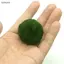 Luckyew 3-4cm Marimo Moss Balls Sống Bể Cá Thực Vật Tảo Cá Tôm Bể Trang Trí Mô Phỏng Xanh Tảo Bóng Cây Nhân Tạo TQ