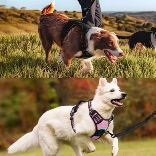 Dây xích chó lớn vừa phải Phong cách Áo Vest Dây đeo ngực chống cháy nổ Corgi Labrador Dây xích đi bộ cho chó