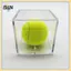 B & N 1 Hộp Acrylic Bóng Chày Acrylic 80 * 80 * 80 Hộp Đựng Bóng Chày Trong Suốt Hộp Thu Thập Bóng Golf Hộp Trưng Bày.
