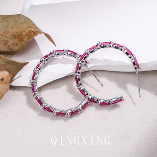 Châu Âu Mỹ ins Phong Cách Mới Bông Tai Corundum Đỏ Nữ