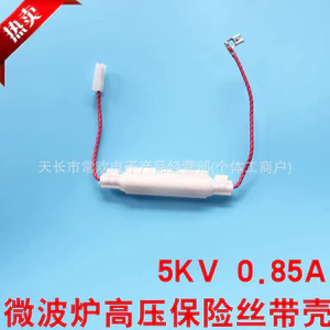 Lò vi sóng đa năng 5KV 0.85 MA Lò vi sóng Cầu chì điện áp cao Lò vi sóng có giá đỡ Cầu chì tích hợp26031608