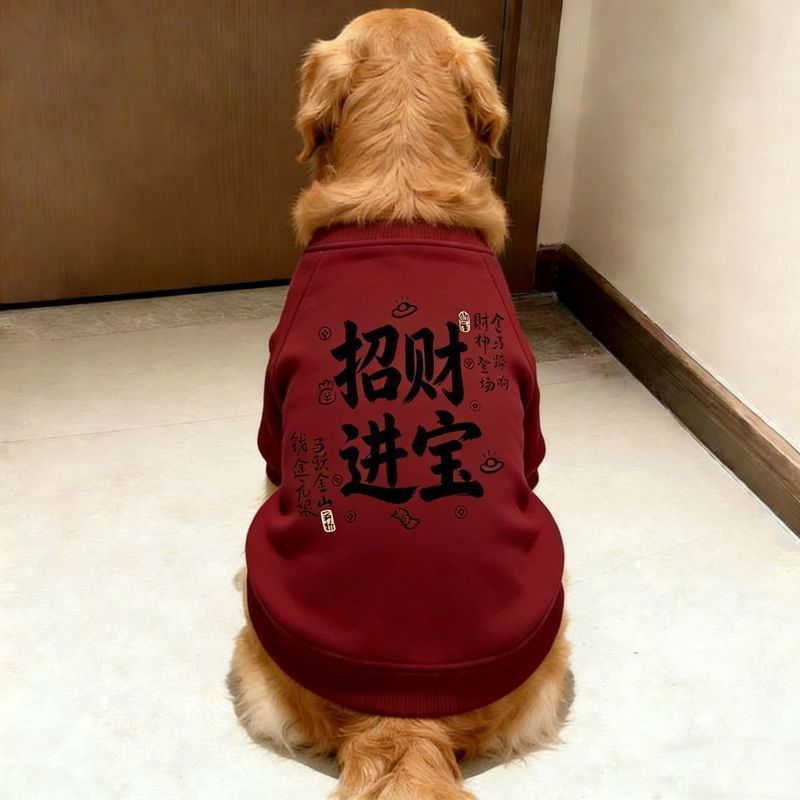Chó Thú Cưng Thu Đông Lễ Hội Năm Mới < Fu > Quần Áo Hai Chân Tốt Lành Chó Lớn Golden Retriever Samoyera Prado