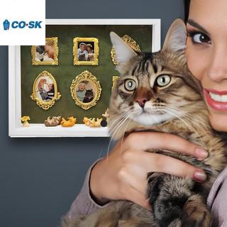 COUTR DIY Cat Mini Museum Silhouette Box, Familyand Cat Memory Photo Display Case Frame Silhouette Box có đèn VN