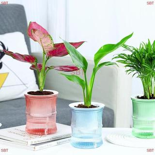 [SB] Chậu hoa thủy canh lười biếng Chậu hoa hấp thụ nước tự động trong suốt hai lớp nhựa tự tưới nước văn phòng MỚI