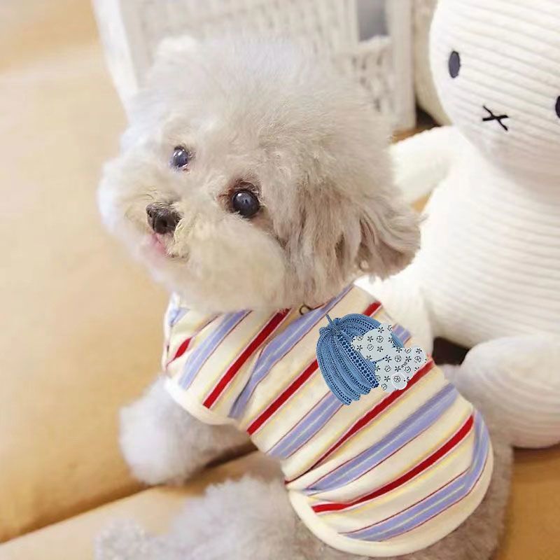 Mùa Xuân Phong Cách Mùa Hè Chống Nắng Thoáng Mát Quần Áo Thú Cưng Thoải Mái Thoáng Khí Teddy Bi Mèo Quần Áo Chó Nhỏ Size Vừa Áo Vest Cho Chó