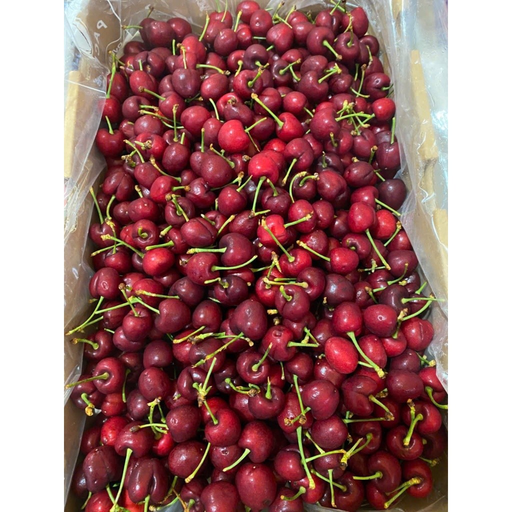[Ship Hỏa Tốc HCM 1-2 giờ ] 1Kg Cherry Mỹ đầu mùa tươi ngọt [BO-BL-028]
