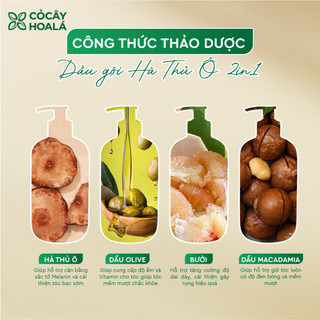 Dầu Gội Hà Thủ Ô 2in1 Cỏ Cây Hoa Lá 420g | Giảm Rụng Tóc, Tóc Dày Khỏe | Nhà Mộc Nhiên