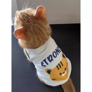 Mèo Chống Trơn Quần Áo Mùa Hè Thoáng Khí Anh Ngắn Muppets Mèo Bạc Gradient Xanh Mèo Thú Cưng Mùa Hè Áo Vest Mỏng