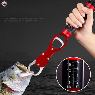 Kẹp câu cá chống rỉ sét - Công cụ hỗ trợ câu cá hiệu quả dành cho người mới bắt đầu