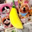 NS Hoạt Hình Dễ Thương Chuối Sang Trọng Hộp Đựng Bút Kawaii Mô Phỏng Trái Cây Văn Phòng Phẩm Túi Đồ Dùng Văn Phòng Phẩm Túi Bảo Quản Đa Năng NS