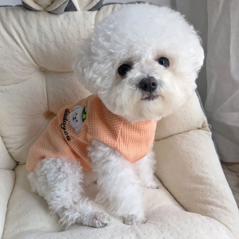 Mùa hè Mỏng Siêu Nhỏ Thoáng Khí Thú Cưng Vest Teddy Cat Tiếng Anh Ngắn Bichon Pomeranian Muppet Chó Quần Áo Đa Năng