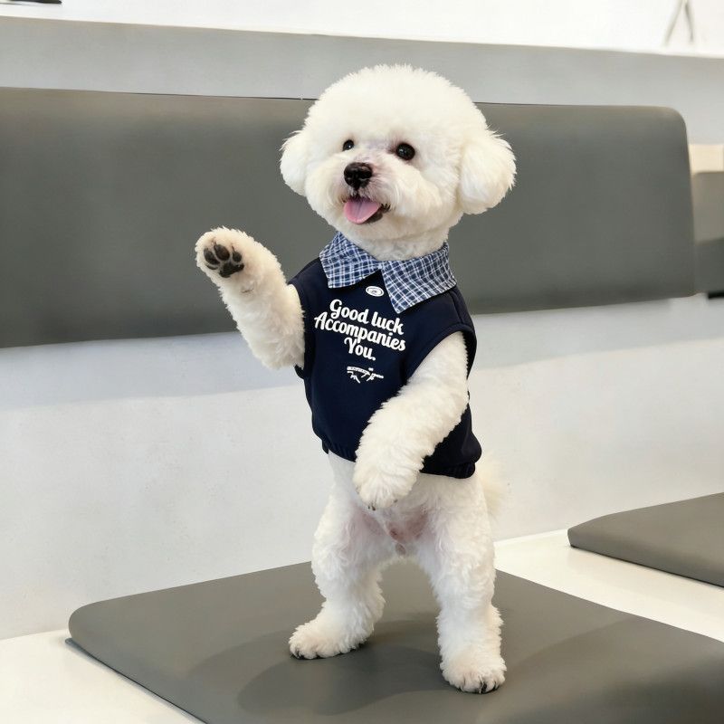 Màu sắc phù hợp cho thú cưng Áo sơ mi Polo mùa xuân hè Quần áo hai chân Teddy Bichon Trang phục