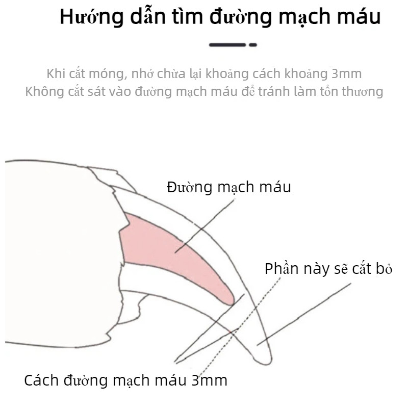 Kìm Cắt Móng Cho Chó Mèo【Đèn LED】- Cắt Và Mài 2 Trong 1, An Toàn, Dễ Dùng Cho Thú Cưng