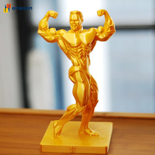 (aniasan) Điêu Khắc Cơ Nghệ Thuật Mảnh Cơ Bắp Người Trang Trí 3d In Hình Người Cơ Vàng – Hình Hài Hước Nam Để Bàn Điêu Khắc Tập Thể Dục Trang Trí Cho Những Người Yêu Tập Gym