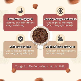 [Bịch 400g] Thức ăn hạt Doggyman Healthy Choice chó