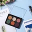 Bảng trang điểm từ tính FAVORITEGOODS, Bảng phấn mắt rỗng nhẹ màu đen, với hộp đựng du lịch bằng nhựa mờ hàng đầu cho mỹ phẩm DIY
