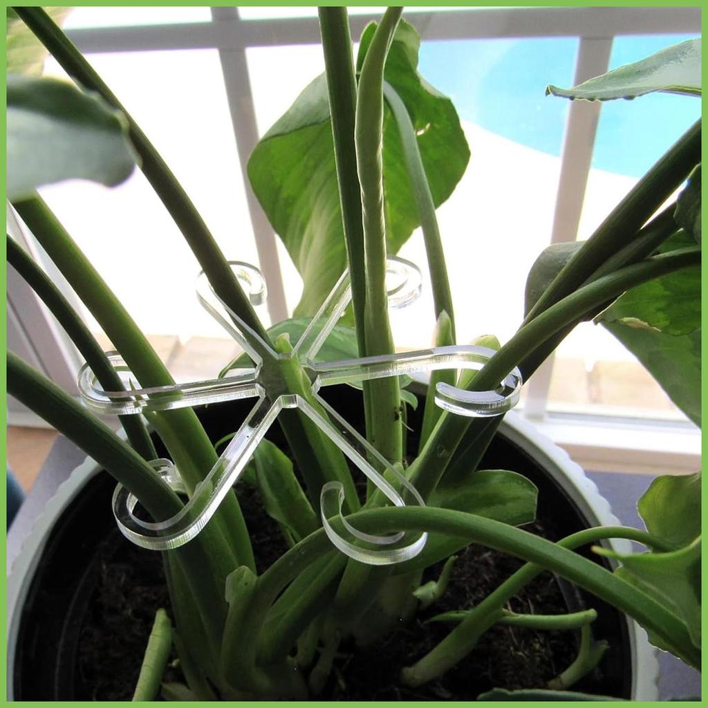 Hỗ trợ thân 4 cây leo, giữ cây, móc vine, kẹp cố định, gelhvn