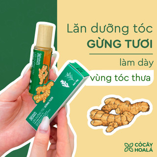 Lăn Dưỡng Tóc Thảo Mộc 15g | Giảm Rụng Tóc, Kích Thích Mọc Tóc, Tóc Dày Khỏe | Nhà Mộc Nhiên