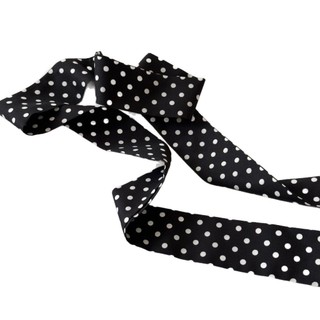 Phong Cách Hàn Quốc Chấm Bi Niche Lụa Khăn Buộc Cổ Dây Buộc Tóc Streamer Nữ Cao Cấp Cảm Giác Khăn Mùa Xuân Mùa Hè Mỏng Phong Cách Bảo Vệ Cổ Khăn Dài 26.3.13 OPYG