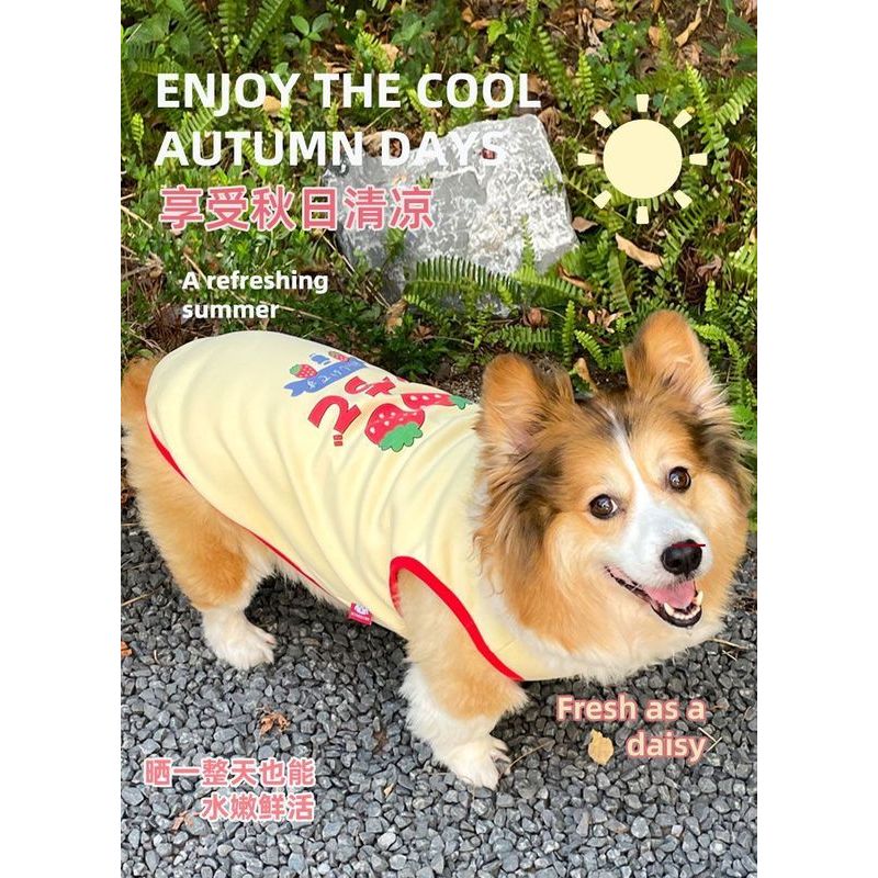 2025 Ngoài Trời Thú Cưng Vest Ấm Corgi Teddy Bichon Nhỏ Vừa Chó Dễ Thương Quần Áo Cho Chó Khuyến Nghị