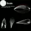 PUSKY 140 Cái / hộp Cong Stiletto 3d Eagle Claw Móng Tay Dạng Kép Cho Poly Nail Gel Nối Dài Của Hawk Điêu Khắc Móng Tay Full Cover Khuôn VN
