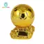 Cúp Cúp Giải đấu thể thao Người chiến thắng Giải thưởng thi đấu bóng đá Cúp