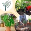 Hỗ trợ cây GILL, Giá đỡ chậu ngoài trời Hình con công Trellis, Khung dính Cây trồng sân vườn Cổ phần Hoa sân