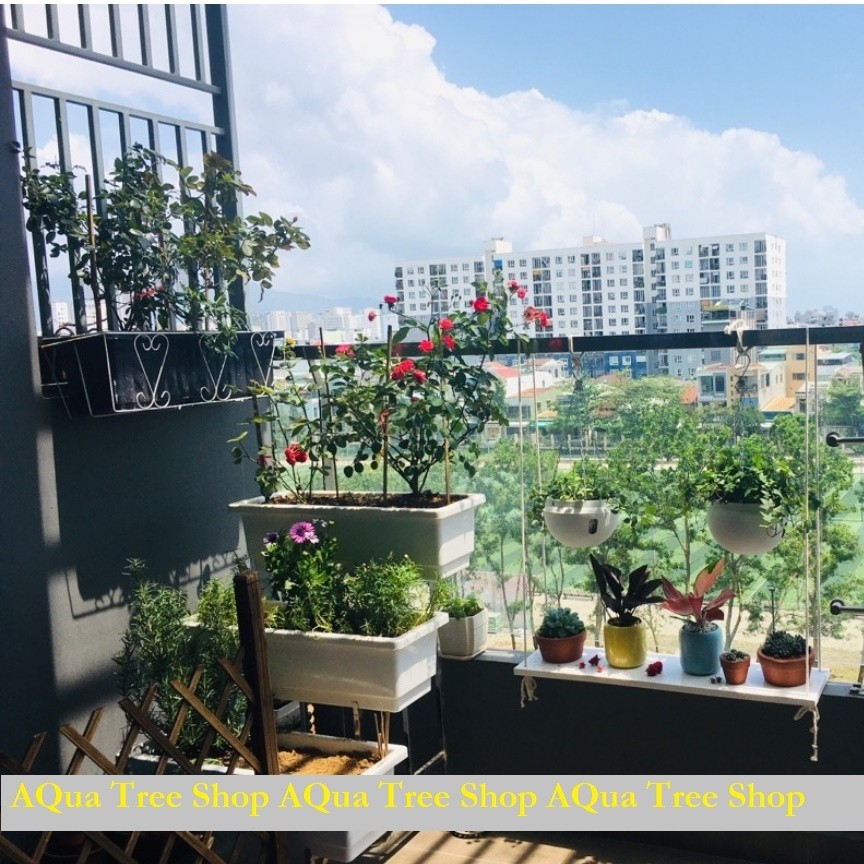 Kệ trồng rau bậc thang 3 tầng, kệ trồng rau ban công (không bao gồm chậu)