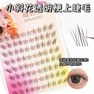 Hoa xiên nhỏ Lông mi giả Trong suốt Thin Terrier Eye End Kéo dài Lông mi ánh sáng