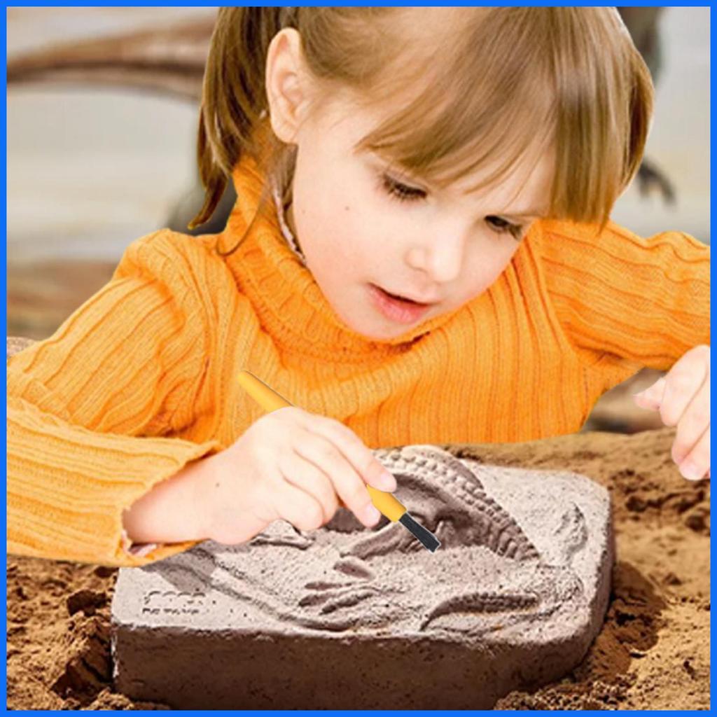 Dino Dig Kit Bộ đào giáo dục khảo cổ Bộ công cụ khai quật Bộ dụng cụ đào di động cho giáo dục sớm junlavn