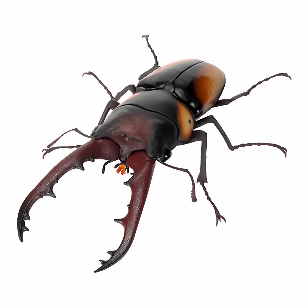 [BTF] Hàng có sẵn BANDAI Capsule Toy Sinh học Sách minh họa lớn 11 Beetle Stag Beetle Mô phỏng Đồ trang trí côn trùng S03Y