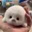 Búp bê con dấu dễ thương Mặt dây chuyền đồ chơi sang trọng Mô phỏng Đồ chơi đại dương Con dấu lưu niệm Mặt dây chuyền Quà tặng Túi búp bê Mặt dây chuyền