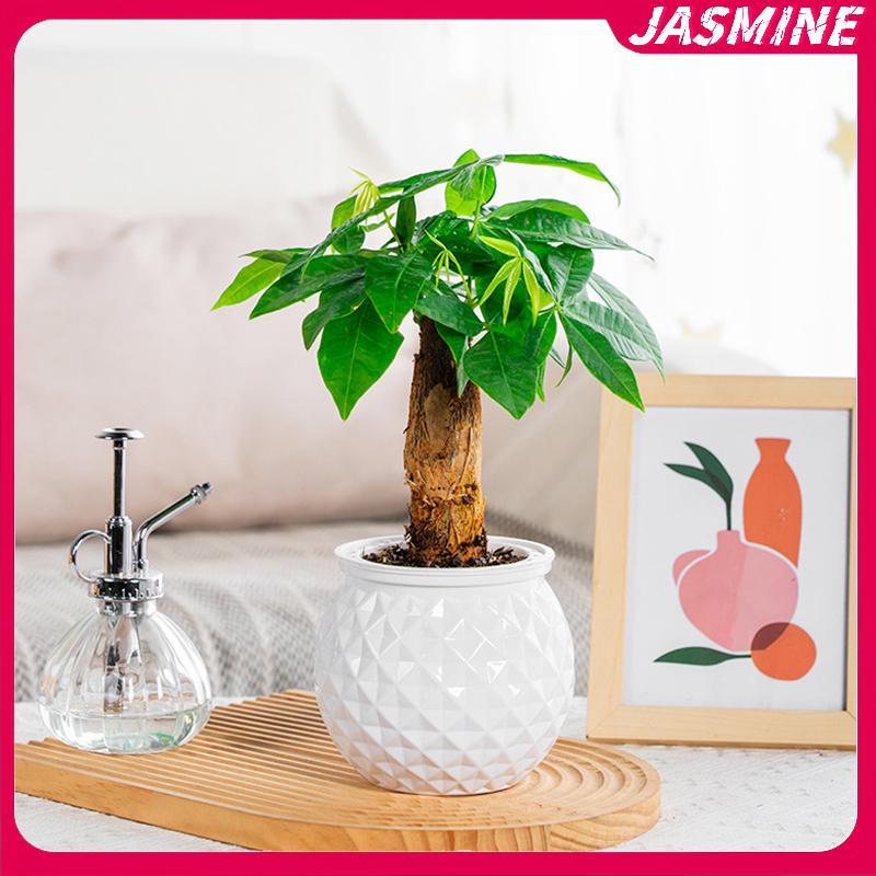 JASMINE Mini Tự Tưới Cây Chậu Hoa Bể Cá Nhựa Trong Suốt Chậu Cây Tự Tưới Cây Chậu Bình Để Trang Trí Nhà Cửa JASMINE