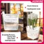 Hộp đựng thủy canh JASMINE có giỏ hỗ trợ thoáng khí Hạt hoa Tulip Chậu hoa thủy canh 4 lỗ Chậu hoa không đất Trang trí nhà cửa JASMINE