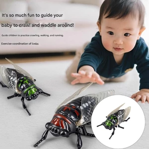 Đồ chơi Cicada gió thực tế để giải trí trong nhà ngoài trời Trang trí Halloween