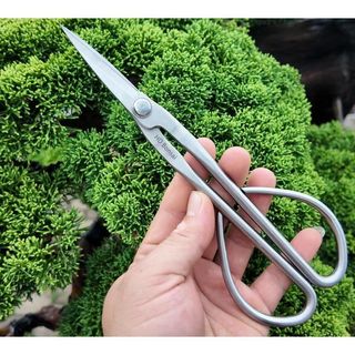 KÉO TỈA DĂM CÂY CẢNH - Bản cao cấp - HD BONSAI Thép trắng không gỉ. Độ dài 210mm Trọng lượng 145g
