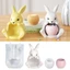 Khuôn Silicon Thỏ Ngồi Hoàn Hảo Để Chế Tạo Chậu Hoa Nhựa Đẹp Khuôn Đựng Handmade