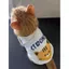 Mèo Chống Trơn Quần Áo Mùa Hè Thoáng Khí Anh Ngắn Muppets Mèo Bạc Gradient Xanh Mèo Thú Cưng Mùa Hè Áo Vest Mỏng