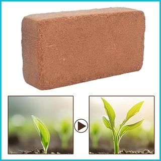Khối Đất Coco Coir Khối Tiếp Liệu Ẩm Chậu Hoa Làm Vườn Trong Nhà Cây Trồng Hoa Ngoài Trời Cho enmdavn