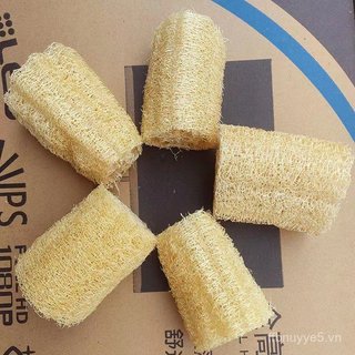 Bàn chải rửa chén/rửa nồi/tắm tự nhiên Loofah, dụng cụ làm sạch nhà bếp gia đình DZK2