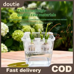 Doutie Hộp Thủy Canh Có Giỏ Hỗ Trợ Thoáng Khí Hạt Hoa Tulip Chậu Hoa Thủy Canh 4 Lỗ Chậu Hoa Không Đất Trang Trí Nhà Cửa VN