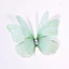 ROLY 50 Chiếc Organza Vải Bướm Táo, Nhiều Màu Sắc Voan Bướm Thêu Miếng Dán, DIY Mờ Hai Lớp Quần Áo May Miếng Dán Cô Dâu Phụ Kiện Tóc