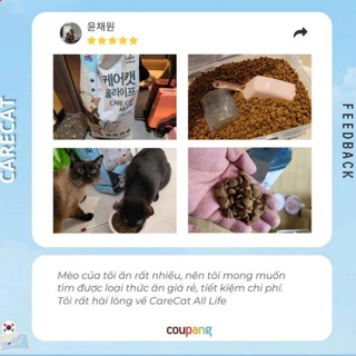 Thức Ăn Hạt Cho Mèo CareCat 1kg - Đạm 30% Hỗ Trợ Tiêu Búi Lông & Tiết Niệu, Sáng Mắt (Mọi Độ Tuổi)
