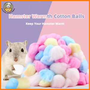 300 Chiếc Hamster Cotton Chăn Ga Gối Ấm Làm Tổ Chất Liệu Đường Glider Hamster Chuột Nhím Lông Tơ Cozy Cotton Bóng