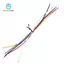 10 Miếng 19cm Các Loại Hệ Thống Mạch Bên Trong Kết Nối Dây Mạch Cho