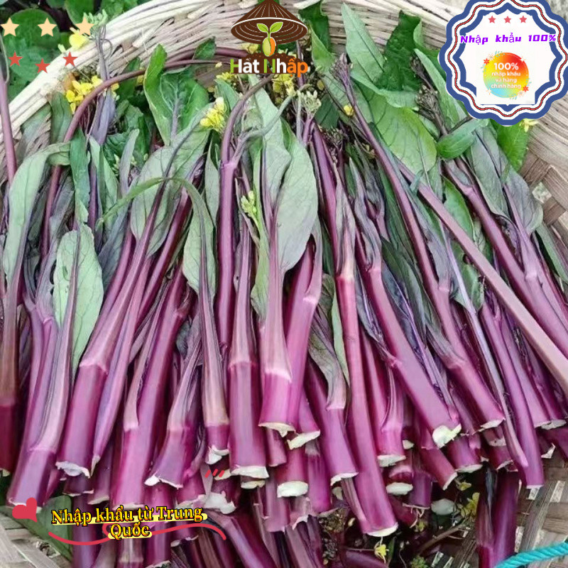 hạt giống cải ngồng mập thân đỏ nhập khẩu đài loan nguyên bao bì，Bao bì gốc: 1000 viên nén, k031