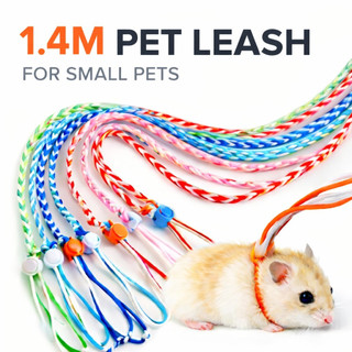 Dây xích thú cưng nhỏ 1.4m Dây nịt có thể điều chỉnh cho Hamster Rabbit Guinea Pig Walking