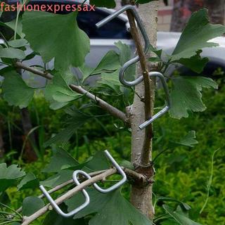 FASHIONEXPRESS 10 cái thiết bị định hình nhánh kim loại chữ M, kéo nhánh cây trái cây, cố định nhánh hạng nặng