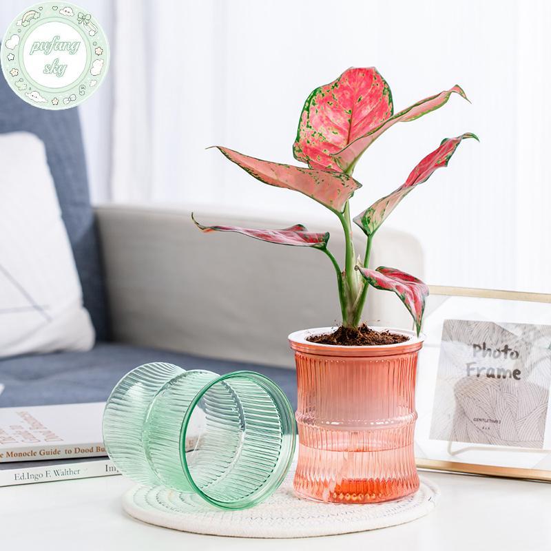 Chậu hoa thủy canh lười PUSKY Chậu hoa hấp thụ nước tự động Chậu hoa trong suốt hai lớp bằng nhựa tự tưới nước Văn phòng VN