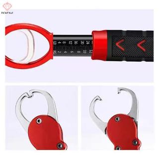Kẹp câu cá chống rỉ sét - Công cụ hỗ trợ câu cá hiệu quả dành cho người mới bắt đầu